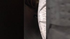 Солярис автомат не заводится по утрам