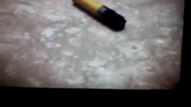 Бешенные кролики