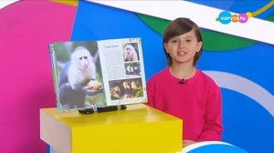 Навигатор. Новости (от 28.04.2025)