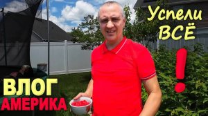 И распаковка, и закупка, и экскурсия) Повесили находки из распаковок / В шоке от нашего огорода