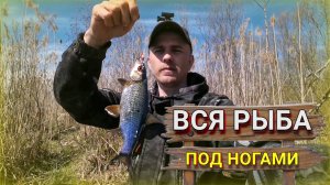 Рыбачу на озере. Ловлю плотву из под ног. Простая рыбалка и отдых.