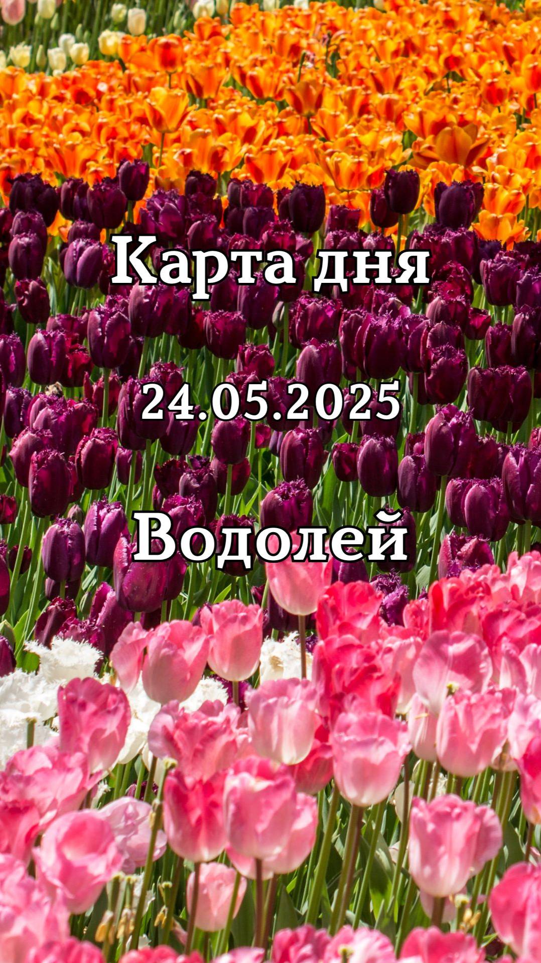 ✨Карта дня 24.05.2025 Водолей смотреть онлайн