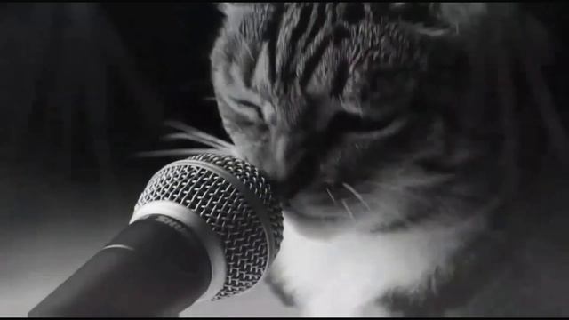 ПАРОДИЯ ! КОТ ПОЕТ ! ФЮЗЕЛЯЖ смотреть онлайн