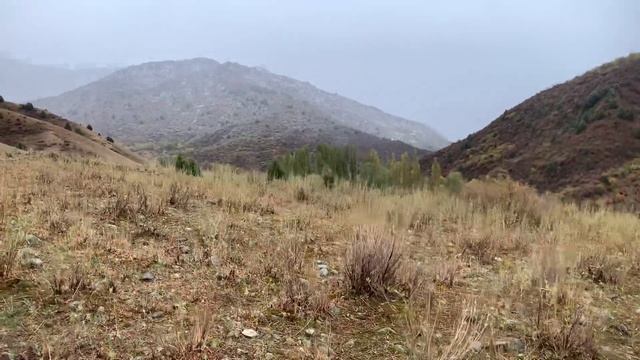 Керемет жайлоо