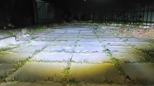 туманка универсальная два режима Рено Ситроен Форд Ми смотреть онлайн