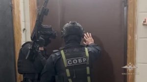 Ирина Волк: Сотрудники МВД России пресекли деятельность участников преступного сообщества