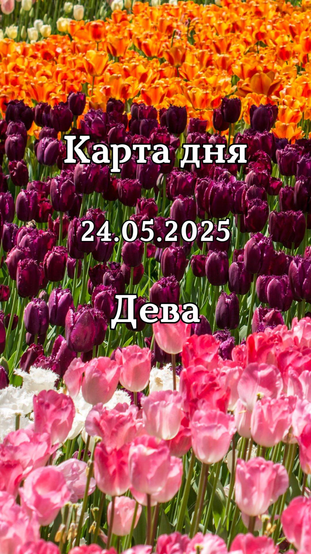 ✨Карта дня 24.05.2025 Дева смотреть онлайн