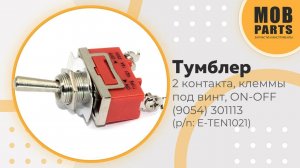 Тумблер для электроинструмента 250V, 15А, 2 контакта, клеммы под винт (p/n:  E-TEN1021)