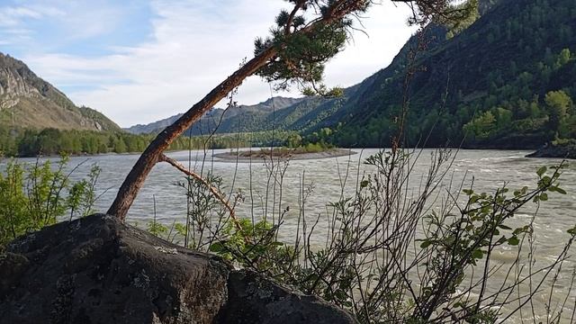 Релакс массаж для вашей Души...