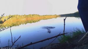 рыбалка! Позже будет ещё видео с ночёвкой! ПОДПИШИСЬ!!!