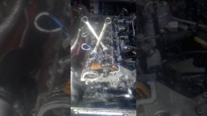 Как Отвёрткой Выставить Метки ГРМ?БМВ 330.М 57.@LIMAR-300