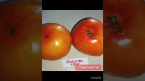 Томаты Алтайский розовый , Сладкая Сью , Полосатое чуд?