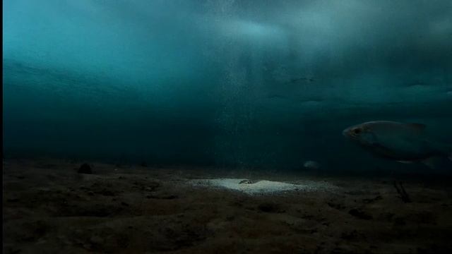 Братское водохранилище, работа прикормки под водой вечером смотреть онлайн