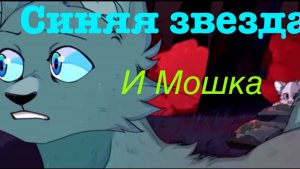 Коты воители синяя звезда и мошка ( придумала видео не я)
