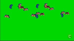 Футаж летающие бабочки группой на зеленом фоне /Footage of flying butterflies in a group on a green