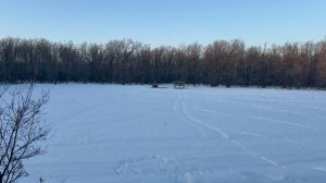 Закрытие сезона охоты на копытных | Мясо не беру | Последняя охота с Arkon Arma?