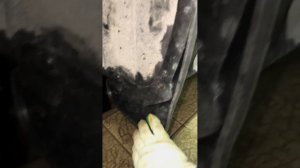 Geely Coolray (SX11, Belgee X50), 1.5ti 2024г установка передних и задних