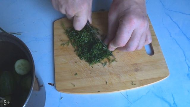 Разцвет сада