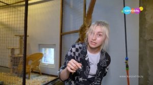 Навигатор Новости от 21 сентября, 2023 года