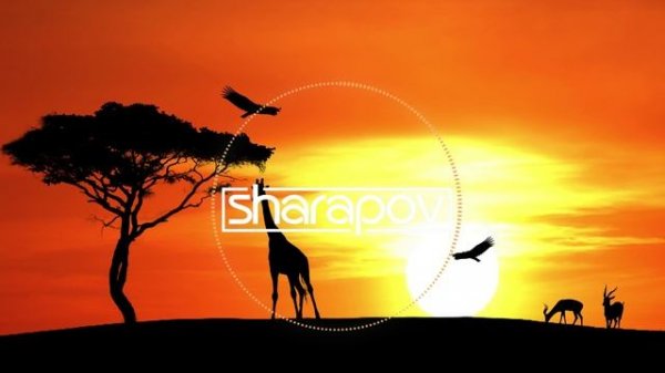 Sharapov & Dj Zhukovsky - Amber of Africa