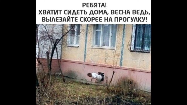 Новый сборник приколов. Смотри и веселись! Порадуй мозг юмором. смотреть онлайн