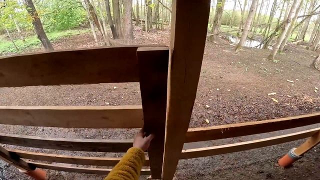 Кого родила овца ? Навес для овец готов ! Что дальше . ХУТОР В ЛЕСУ №675 смотреть онлайн