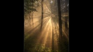 Пикник - На луче