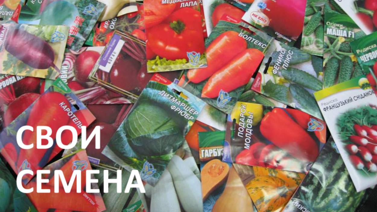 Свои семена сэкономят вам деньги и время! смотреть онлайн