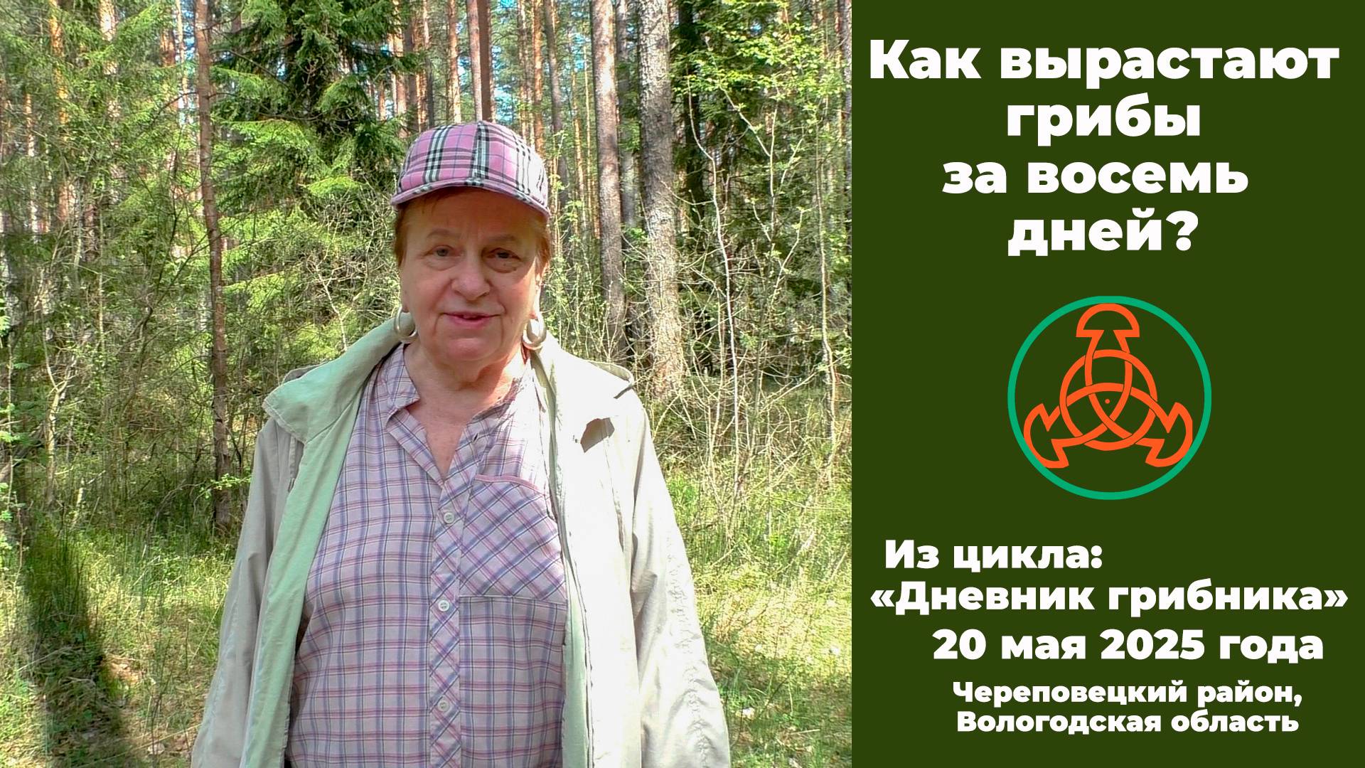 Как вырастают грибы за восемь дней? "Дневник грибника" 20 мая 2025 года. смотреть онлайн