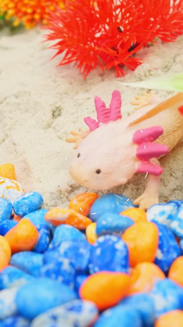 Глубоко-глубоко под водой! Весёлая игра с морскими друзьями! #игрушки #длядетей #детскиеигрушки смотреть онлайн