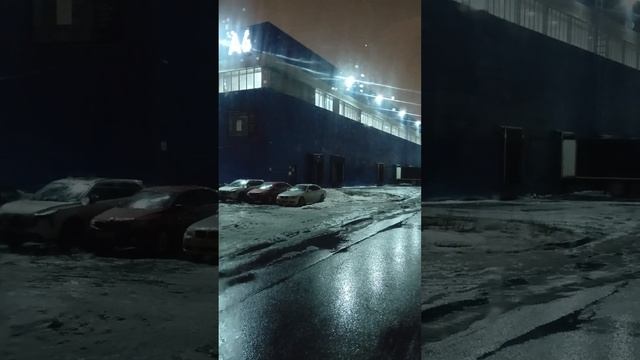 зарплата в Деловых Линиях для новичка #дальнобой #дело