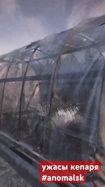 Карусели и парашютики Владосовки. #dayz #namalsk #неудержимые #anomalsk #shorts смотреть онлайн