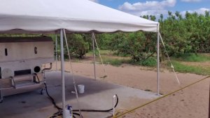 Американская ферма Урожай Персиков. Бизнес которого н