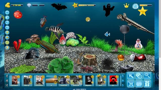 Аквариумам 296дней смотреть онлайн