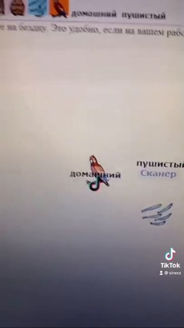 СКРЕЩИВАЕМ ВСЕХ ЖИВОТНЫХ МИРА!!! #shorts смотреть онлайн