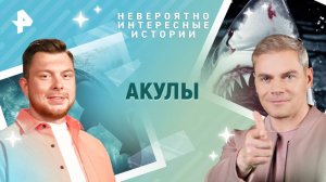 Акулы  — Невероятно интересные истории (22.05.2025)
