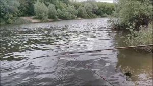 Рыбалка на реке Воронеж, мкр. Шилово 20.05.2025
