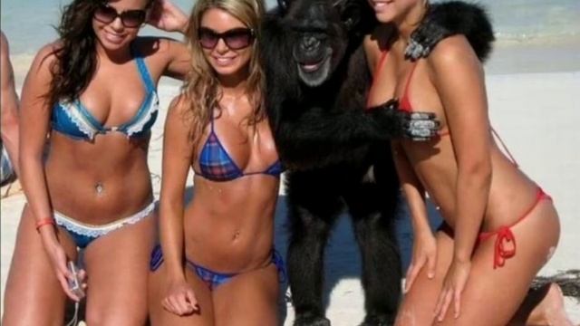 смешные моменты лето пляж 🏖️ смотреть онлайн