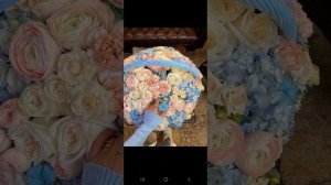 новая цыганская полька с выходом всё прекрасно