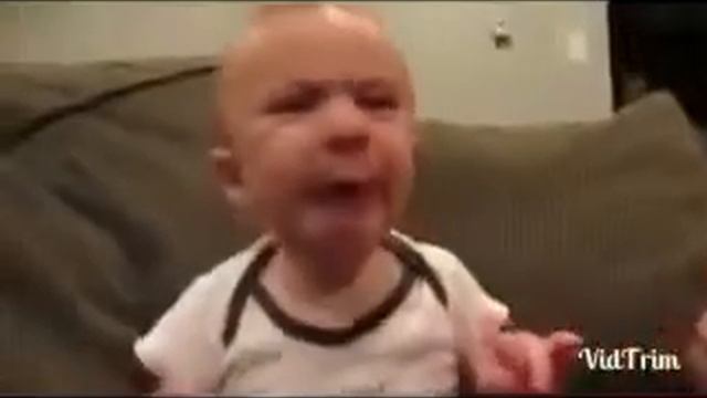 приколы смешные собаки и коты смотреть онлайн