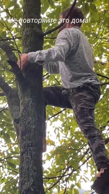 Абрикос Паша Гималайский движ #india #shorts #hindi #himachalpradesh