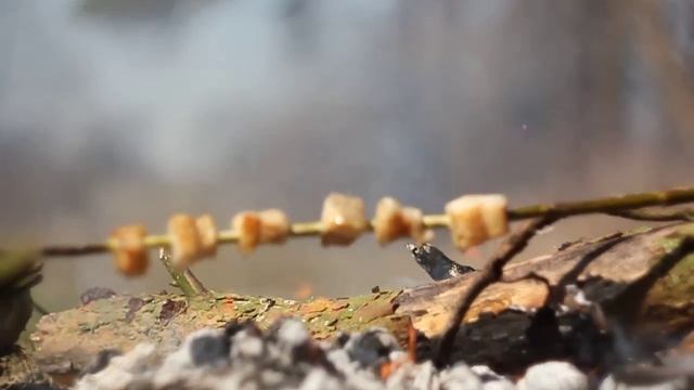 САЛО на ОГНЕ