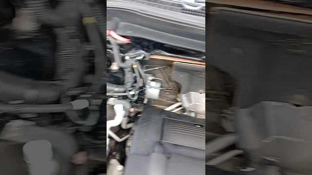 Out3/2019.mp4 смотреть онлайн