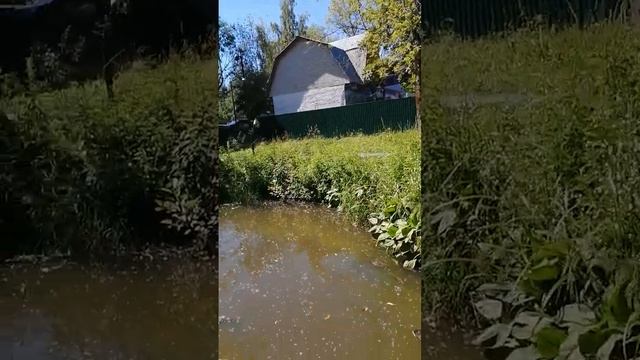 Живописный уголок в городе Раменское #путешествия #trips смотреть онлайн