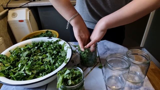 Сады и огороды в гармонии