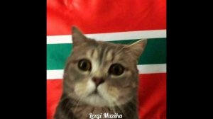 🔥 Красивая Лезгинская Песня 🔥 «Заира» (Премьера Клип?