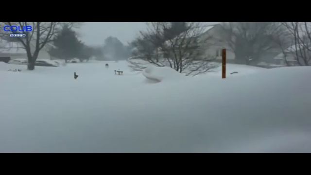 ПРИКОЛЫ 2024 # Funny Videos ★ Best Funny Fail смотреть онлайн