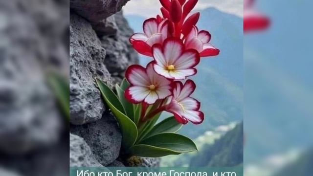 Благословенного утра!!! смотреть онлайн