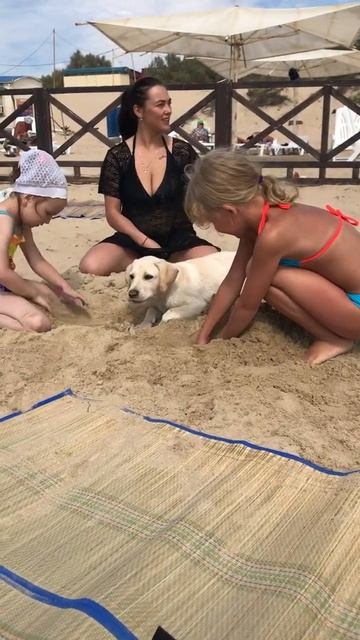 Море песок дети смотреть онлайн