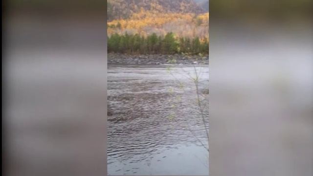 БАМ река Витим на отдых смотреть онлайн